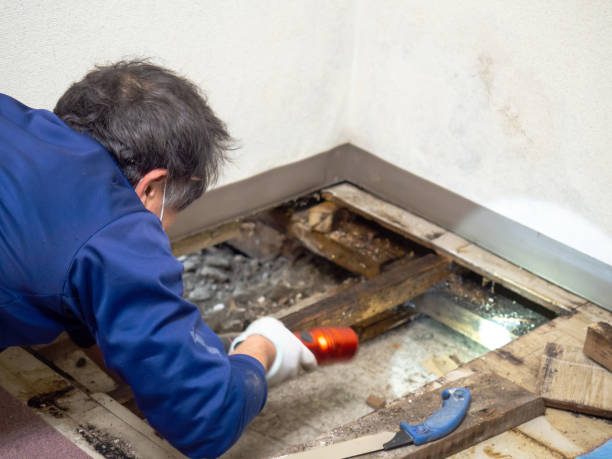 Best Mold Testing  in Brodhead, WI