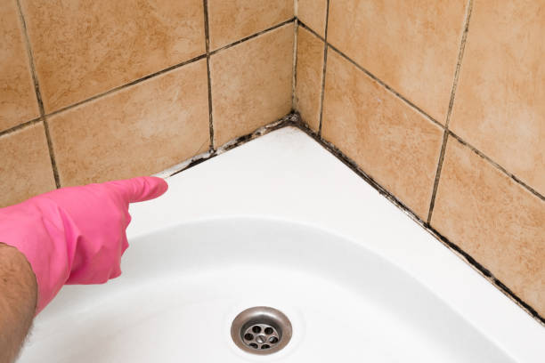 Best Residential Mold Removal  in Brodhead, WI